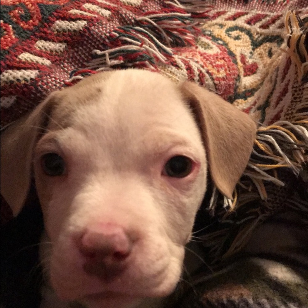 Meet your Posher, Jaylynn